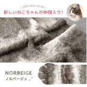 ヒメ日記 2025/09/27 11:37 投稿 まいか 錦糸町人妻セレブリティ（ユメオト）