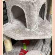 ヒメ日記 2025/10/14 10:02 投稿 まいか 錦糸町人妻セレブリティ（ユメオト）