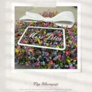 ヒメ日記 2025/11/25 00:54 投稿 まいか 錦糸町人妻セレブリティ（ユメオト）