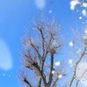 ヒメ日記 2026/01/14 10:02 投稿 まいか 錦糸町人妻セレブリティ（ユメオト）