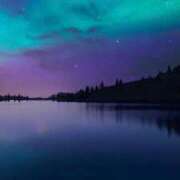 ヒメ日記 2026/01/30 10:26 投稿 まいか 錦糸町人妻セレブリティ（ユメオト）