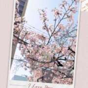 ヒメ日記 2026/04/15 16:40 投稿 まいか 錦糸町人妻セレブリティ（ユメオト）