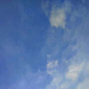 ヒメ日記 2025/08/19 10:42 投稿 ひな ぼいんWORK