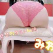 ヒメ日記 2025/04/26 16:04 投稿 みわ 一宮稲沢小牧ちゃんこ