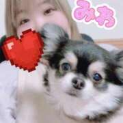 ヒメ日記 2025/04/26 20:04 投稿 みわ 一宮稲沢小牧ちゃんこ