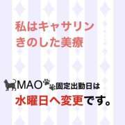 MAO 🐈‍⬛固定出勤曜日の変更🐾 私はキャサリン