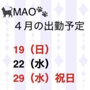 MAO 🐈‍⬛４月後半🐾 私はキャサリン