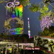 MAO 🐈‍⬛Ａ面とＢ面🐾 私はキャサリン