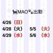 ヒメ日記 2026/04/25 08:19 投稿 MAO 私はキャサリン