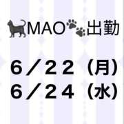 ヒメ日記 2026/06/12 19:19 投稿 MAO 私はキャサリン