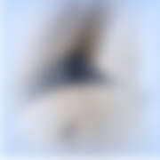 ヒメ日記 2025/07/11 22:51 投稿 みお ビデオdeはんど 町田校