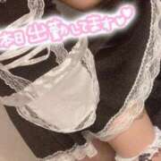 ヒメ日記 2024/08/12 09:05 投稿 ぱるむ♡極上SPコース♡ PANTHER（パンサー）