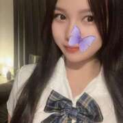 ヒメ日記 2025/08/24 16:34 投稿 はづき Tokyo fairy land-東京フェアリーランド-