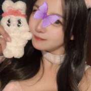 ヒメ日記 2026/07/24 13:01 投稿 はづき Tokyo fairy land-東京フェアリーランド-