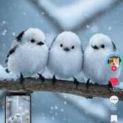 ヒメ日記 2025/02/21 11:19 投稿 れいな 完熟ばなな八王子