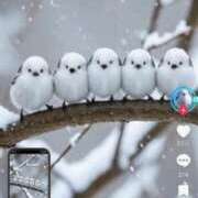 ヒメ日記 2025/03/06 15:19 投稿 れいな 完熟ばなな八王子