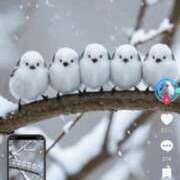 ヒメ日記 2025/03/08 20:29 投稿 れいな 完熟ばなな八王子