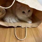 ヒメ日記 2025/05/06 20:09 投稿 れいな 完熟ばなな八王子