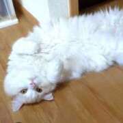 ヒメ日記 2025/05/22 19:19 投稿 れいな 完熟ばなな八王子