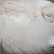 ヒメ日記 2025/10/22 19:29 投稿 れいな 完熟ばなな八王子