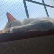 ヒメ日記 2025/10/31 18:29 投稿 れいな 完熟ばなな八王子