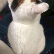 ヒメ日記 2025/11/16 17:19 投稿 れいな 完熟ばなな八王子