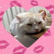 ヒメ日記 2026/01/09 07:29 投稿 れいな 完熟ばなな八王子