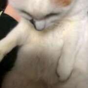 ヒメ日記 2026/01/16 12:09 投稿 れいな 完熟ばなな八王子