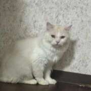 ヒメ日記 2026/03/26 10:29 投稿 れいな 完熟ばなな八王子