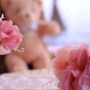 ヒメ日記 2025/04/18 11:14 投稿 あいす マリンマリン