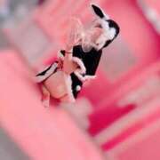 ヒメ日記 2025/12/01 00:04 投稿 あいす マリン熊本本店