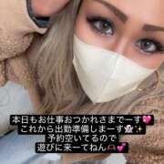 ヒメ日記 2025/11/12 19:46 投稿 小鳥遊るい 五反田発 痴漢電車or全裸入室