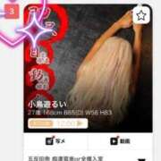 ヒメ日記 2026/01/06 01:55 投稿 小鳥遊るい 五反田発 痴漢電車or全裸入室