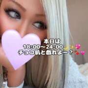 ヒメ日記 2026/02/14 11:12 投稿 小鳥遊るい 五反田発 痴漢電車or全裸入室