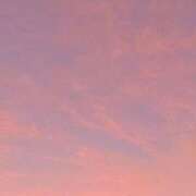 ヒメ日記 2025/08/02 21:40 投稿 ちえり 横浜Cute