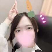 ヒメ日記 2025/04/16 17:35 投稿 みらい 京都デリヘル倶楽部FIRST