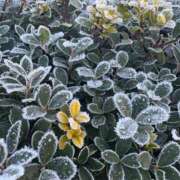 ヒメ日記 2025/02/05 13:48 投稿 りえ 東京妻