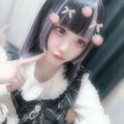 ヒメ日記 2025/04/07 16:16 投稿 めいさ 今こそ!にゃんにゃん学園