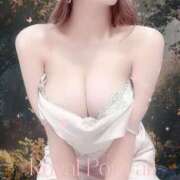 ヒメ日記 2024/12/14 23:34 投稿 Ko-ki【コウキ】 BLENDA V.I.P東京店