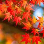 ヒメ日記 2025/12/06 09:48 投稿 加勢(かせ) 八王子人妻城