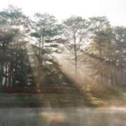 ヒメ日記 2026/03/18 09:33 投稿 加勢(かせ) 八王子人妻城