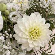 ヒメ日記 2026/03/25 09:42 投稿 加勢(かせ) 八王子人妻城