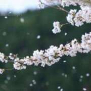 ヒメ日記 2026/03/28 10:03 投稿 加勢(かせ) 八王子人妻城