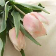 ヒメ日記 2026/04/08 09:42 投稿 加勢(かせ) 八王子人妻城