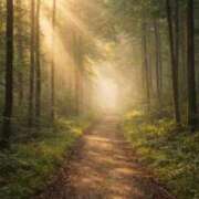 ヒメ日記 2026/04/26 13:03 投稿 加勢(かせ) 八王子人妻城