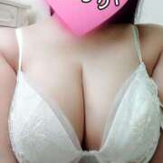 ヒメ日記 2025/07/31 15:11 投稿 なのか 水戸人妻花壇