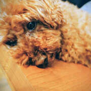 ヒメ日記 2025/09/24 18:05 投稿 ちあき バイオレンス