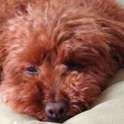 ヒメ日記 2025/10/07 17:05 投稿 ちあき バイオレンス