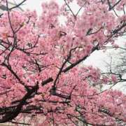 ヒメ日記 2026/03/05 13:14 投稿 湊-みなと MSC 妄想紳士倶楽部 鶯谷店