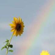 ヒメ日記 2025/01/14 11:07 投稿 音喜多　めぐ エテルナ京都